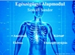 E�. alapmodul